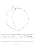 Color Of The Week Worksheet