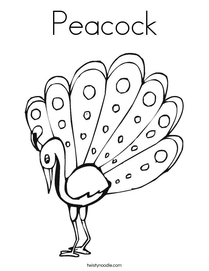 Peacock Coloring Page - Twisty Noodle