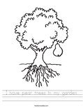 I have pear trees in my garden Worksheet