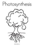 Photosynthesis Coloring Page