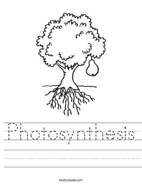 d'nealian worksheets handwriting Noodle  Photosynthesis  Worksheet Twisty