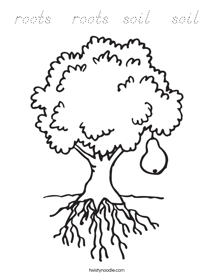 roots   roots  soil   soil Coloring Page