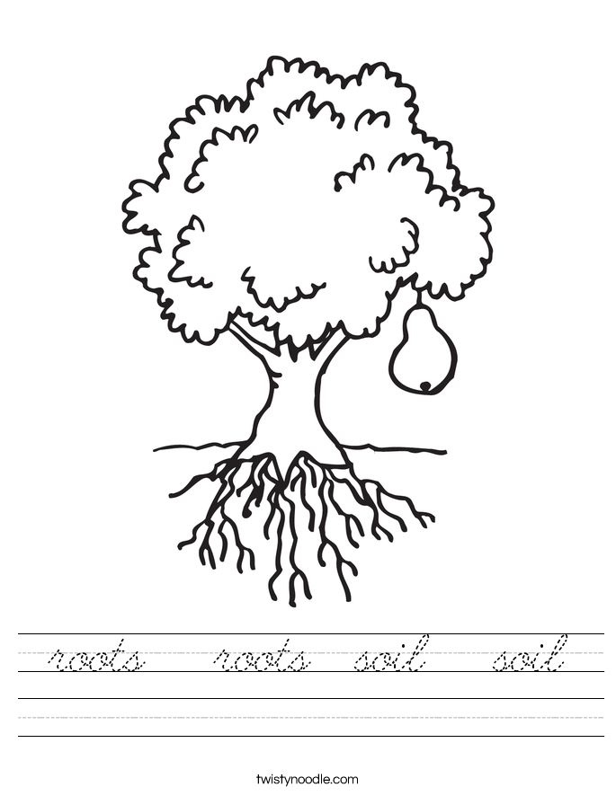 roots   roots  soil   soil Worksheet