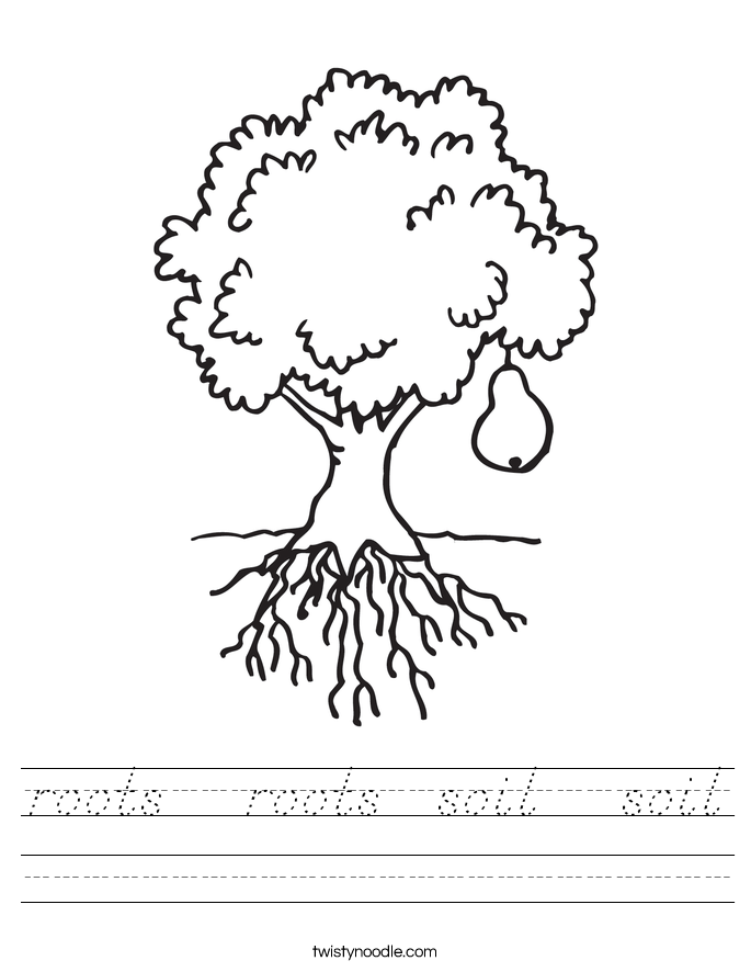 roots   roots  soil   soil Worksheet