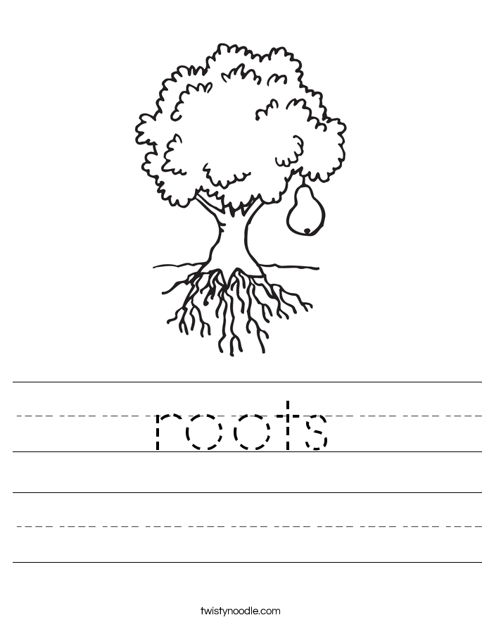 roots Worksheet