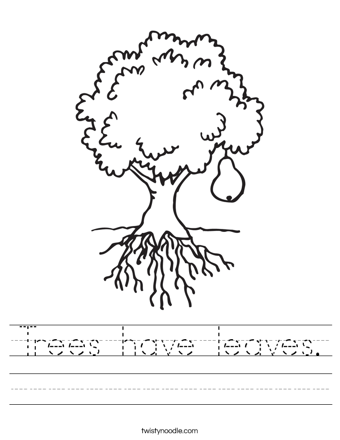 Trees have leaves. Worksheet