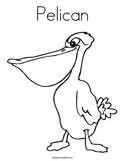 Pelican Coloring Page