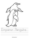 Emperor Penguins  Worksheet
