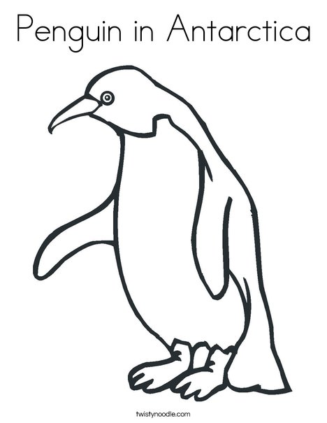 Penguin Coloring Page