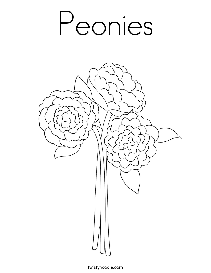 Peonies Coloring Page