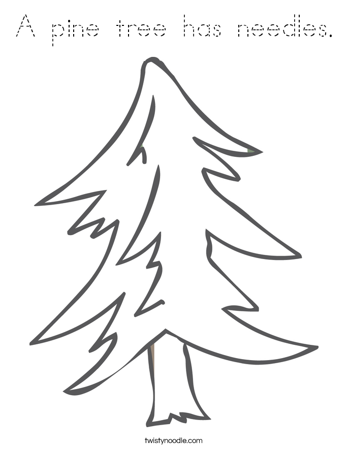A pine tree has needles. Coloring Page
