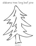 alabama tree: long leaf pine Coloring Page