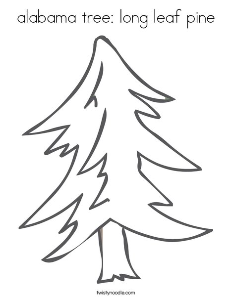 alabama tree long leaf pine coloring page twisty noodle