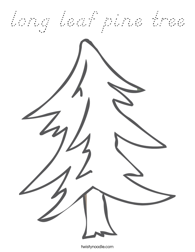 long leaf pine tree Coloring Page