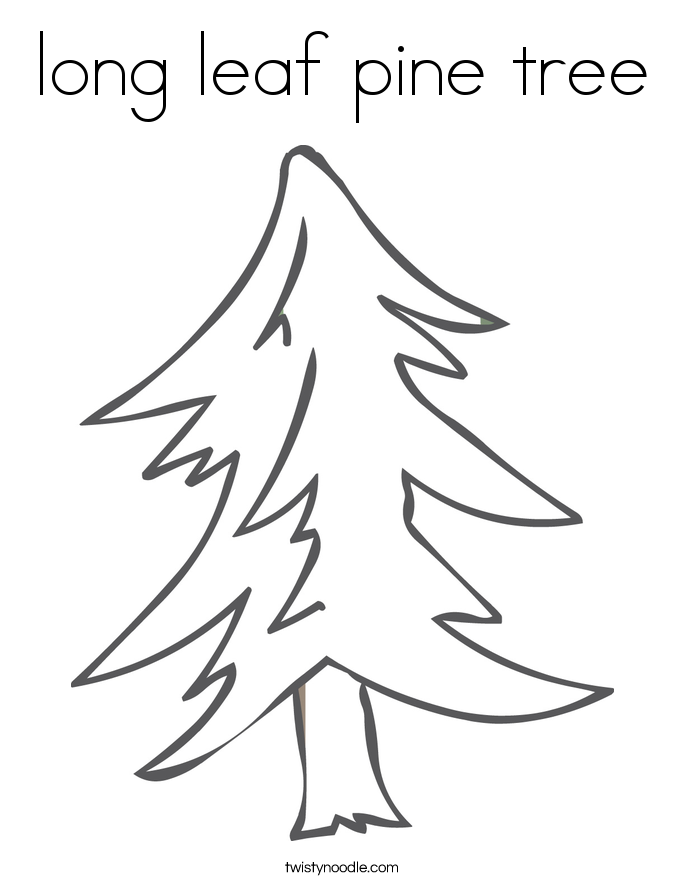 Download long leaf pine tree Coloring Page - Twisty Noodle