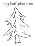 long leaf pine tree Coloring Page