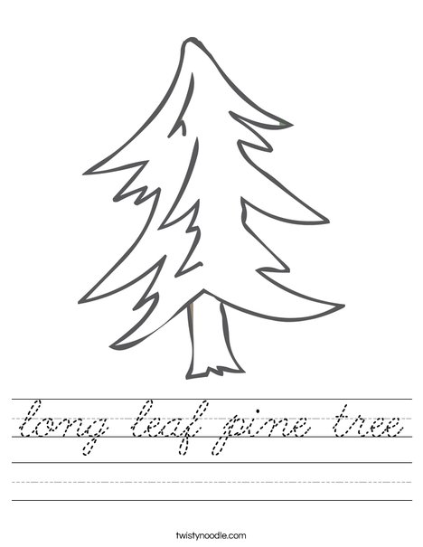 Pine Tree Worksheet