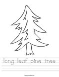 long leaf pine tree Worksheet