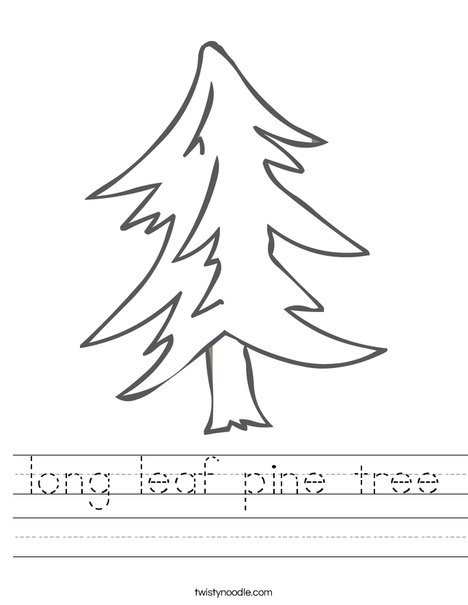 Pine Tree Worksheet