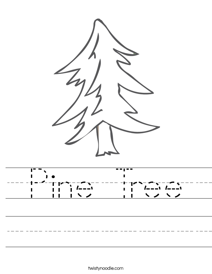 Pine Tree Worksheet - Twisty Noodle