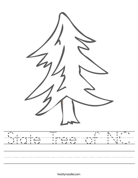 State Tree of NC Worksheet Twisty Noodle State Tree of NC Worksheet Twisty Noodle
