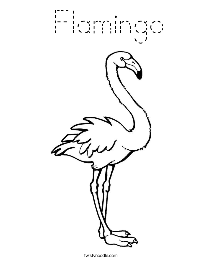  Flamingo Coloring Page