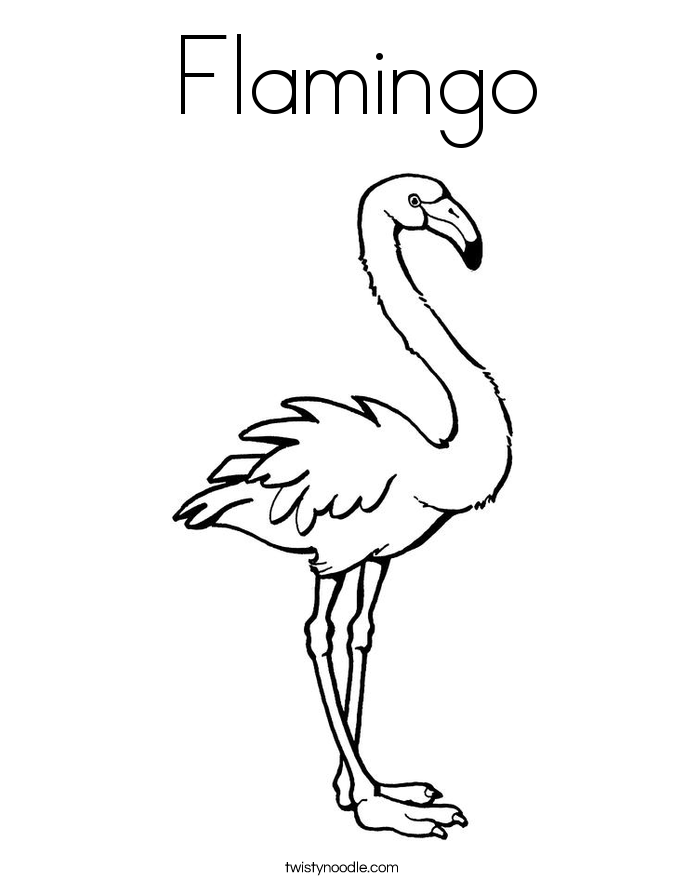 Flamingo Coloring Page