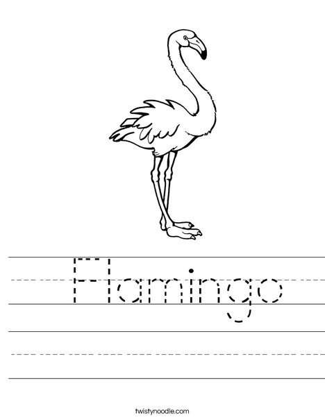 Pink Flamingo Worksheet