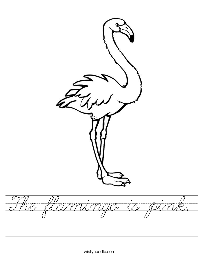 The flamingo is pink. Worksheet