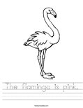 The flamingo is pink. Worksheet