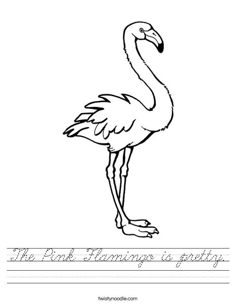 Pink Flamingo Worksheet