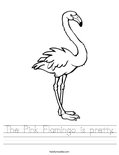 The Pink Flamingo is pretty. Worksheet