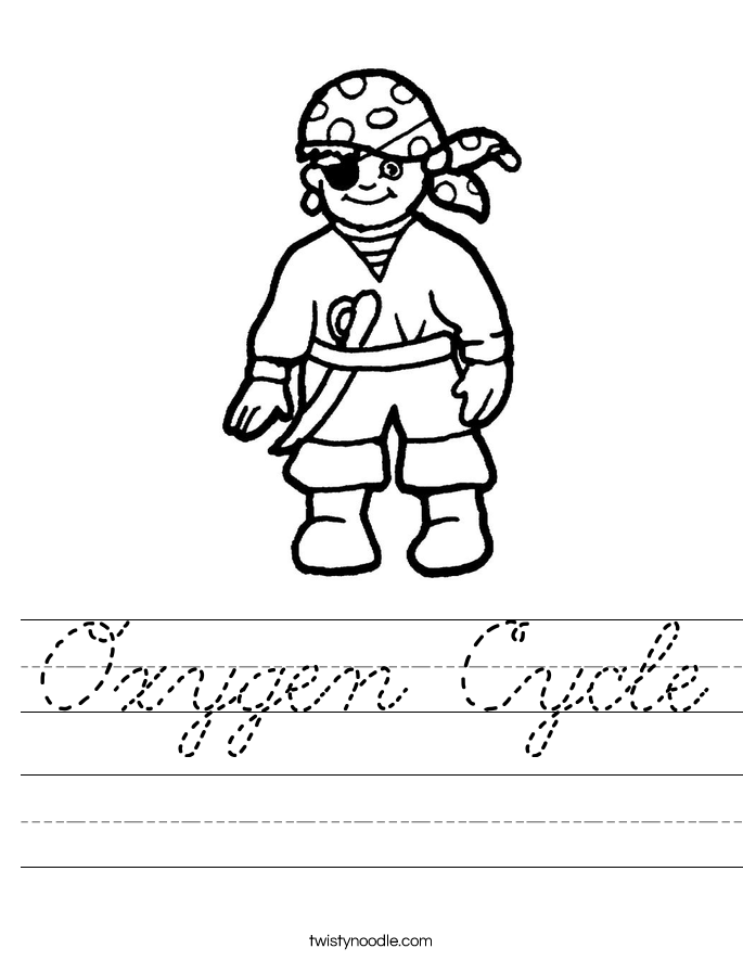 Oxygen Cycle Worksheet