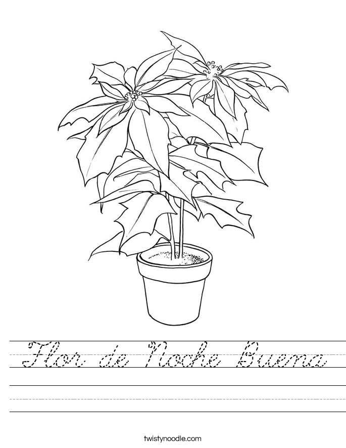 Flor de Noche Buena Worksheet