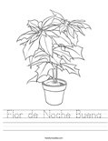 Flor de Noche Buena Worksheet
