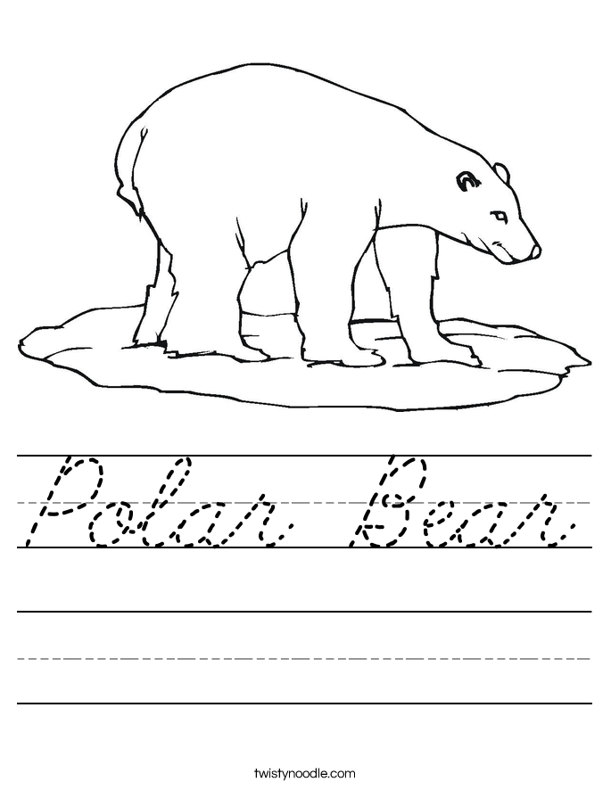 Polar Bear Worksheet