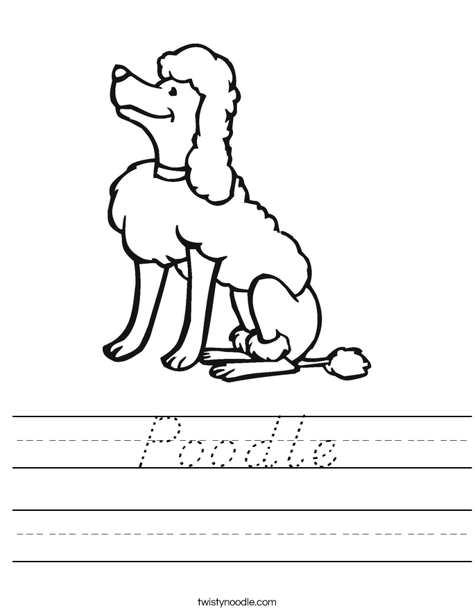 Poodle Worksheet