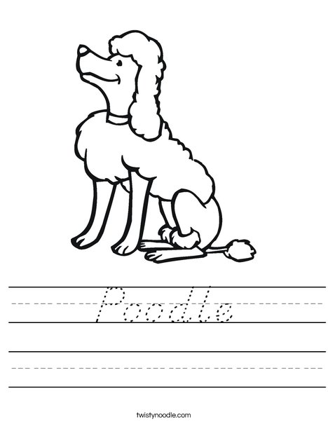 Poodle Worksheet