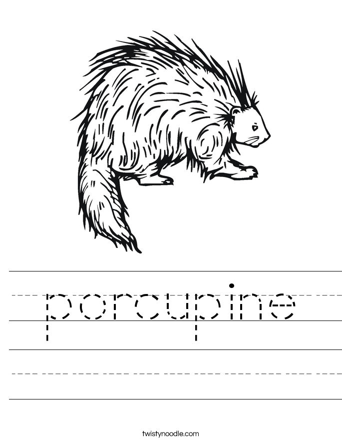 porcupine Worksheet