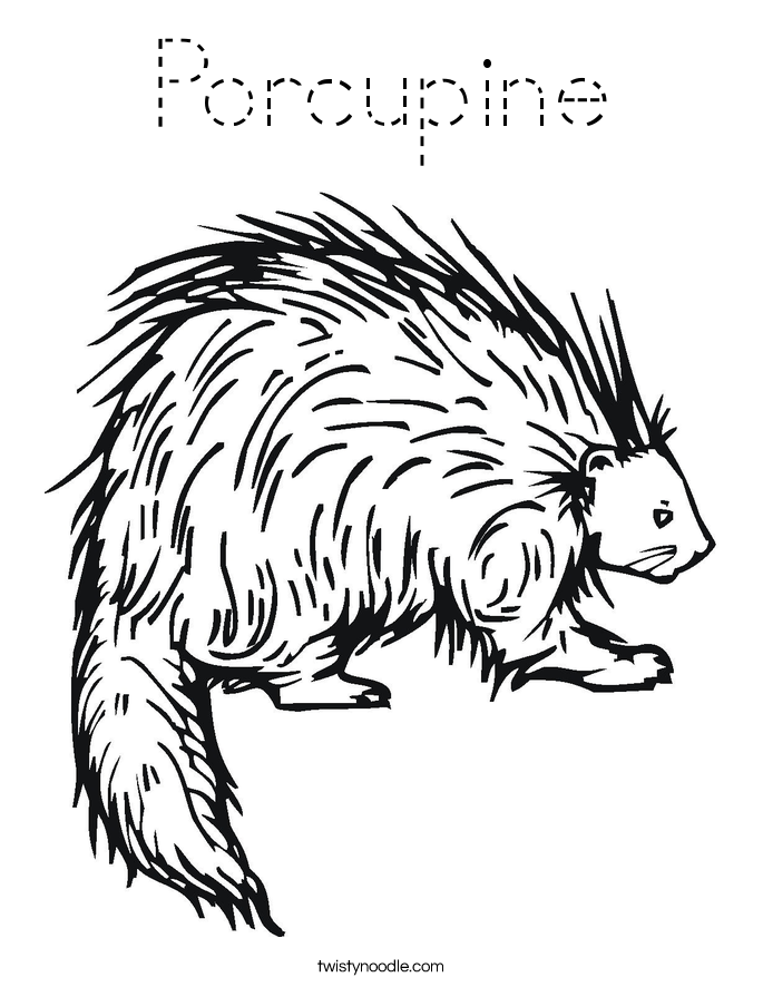Porcupine Coloring Page - Tracing - Twisty Noodle