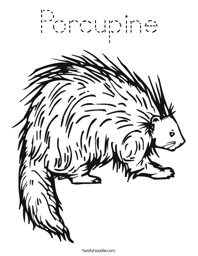 Porcupine Coloring Page