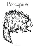 Porcupine Coloring Page