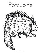 Porcupine Coloring Page