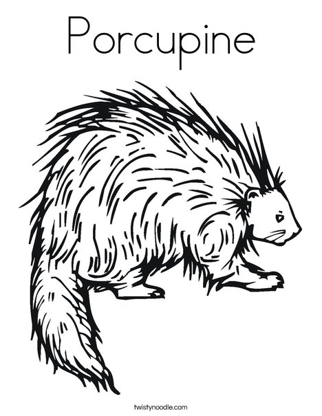 porcupine coloring page twisty noodle
