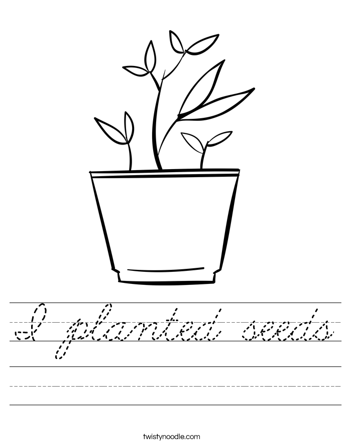 I planted seeds Worksheet