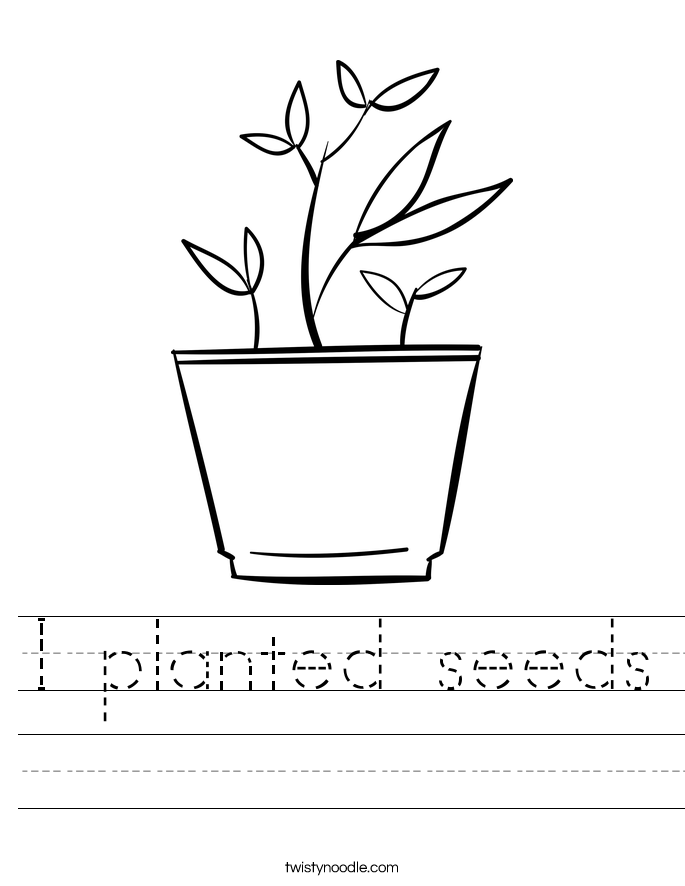I planted seeds Worksheet