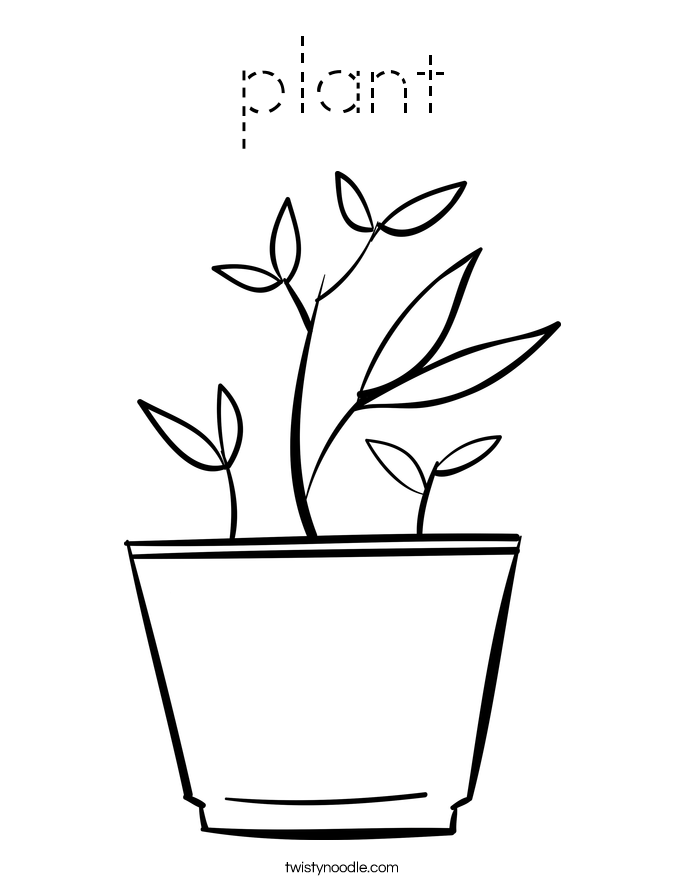 plant Coloring Page Tracing Twisty Noodle