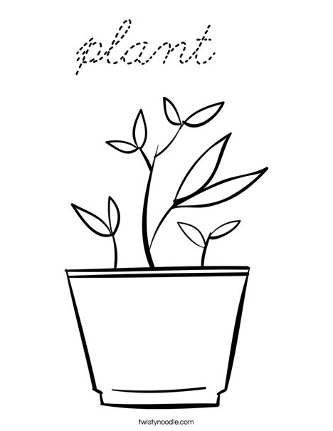 Potted Plant Coloring Page