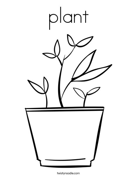 Potted Plant Coloring Page