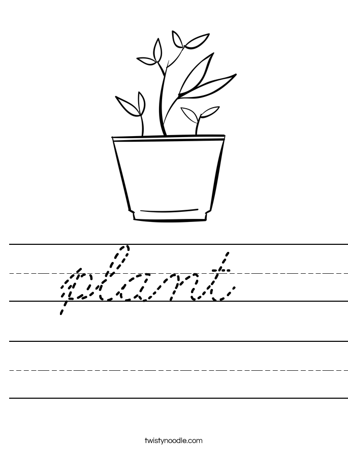 plant Worksheet
